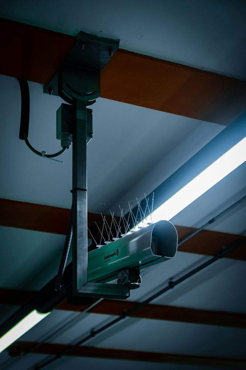 Bellezza Autentica - Image 10